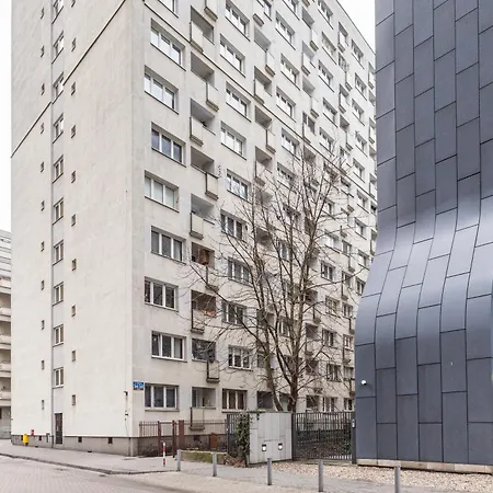 Family Spot By Vaya *